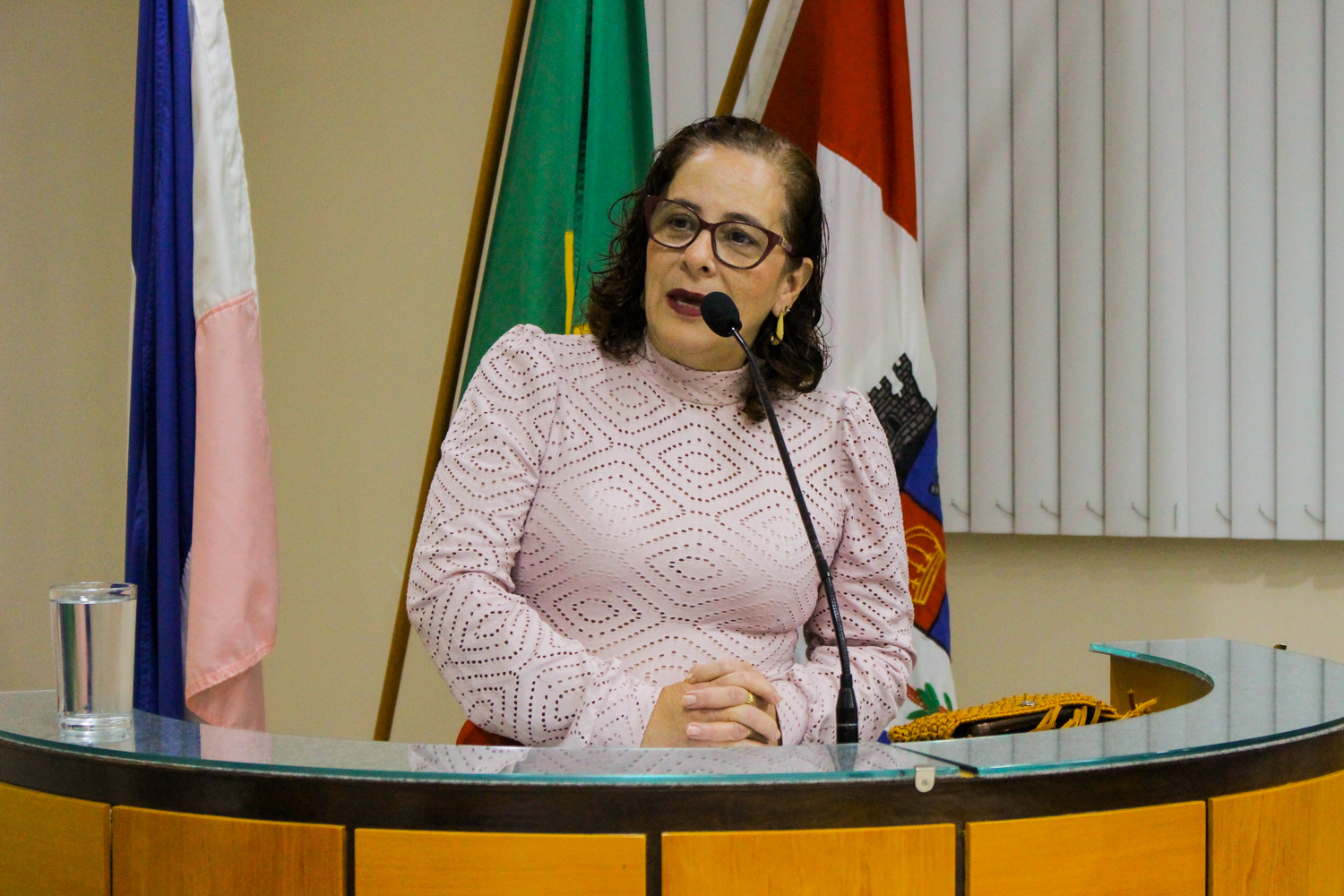 Foto: Reprodução/Câmara de Iúna - ES
