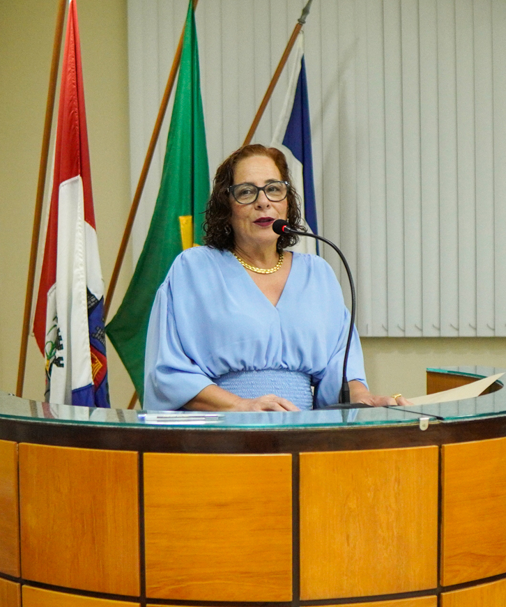 Foto: Reprodução/Câmara de Iúna - ES