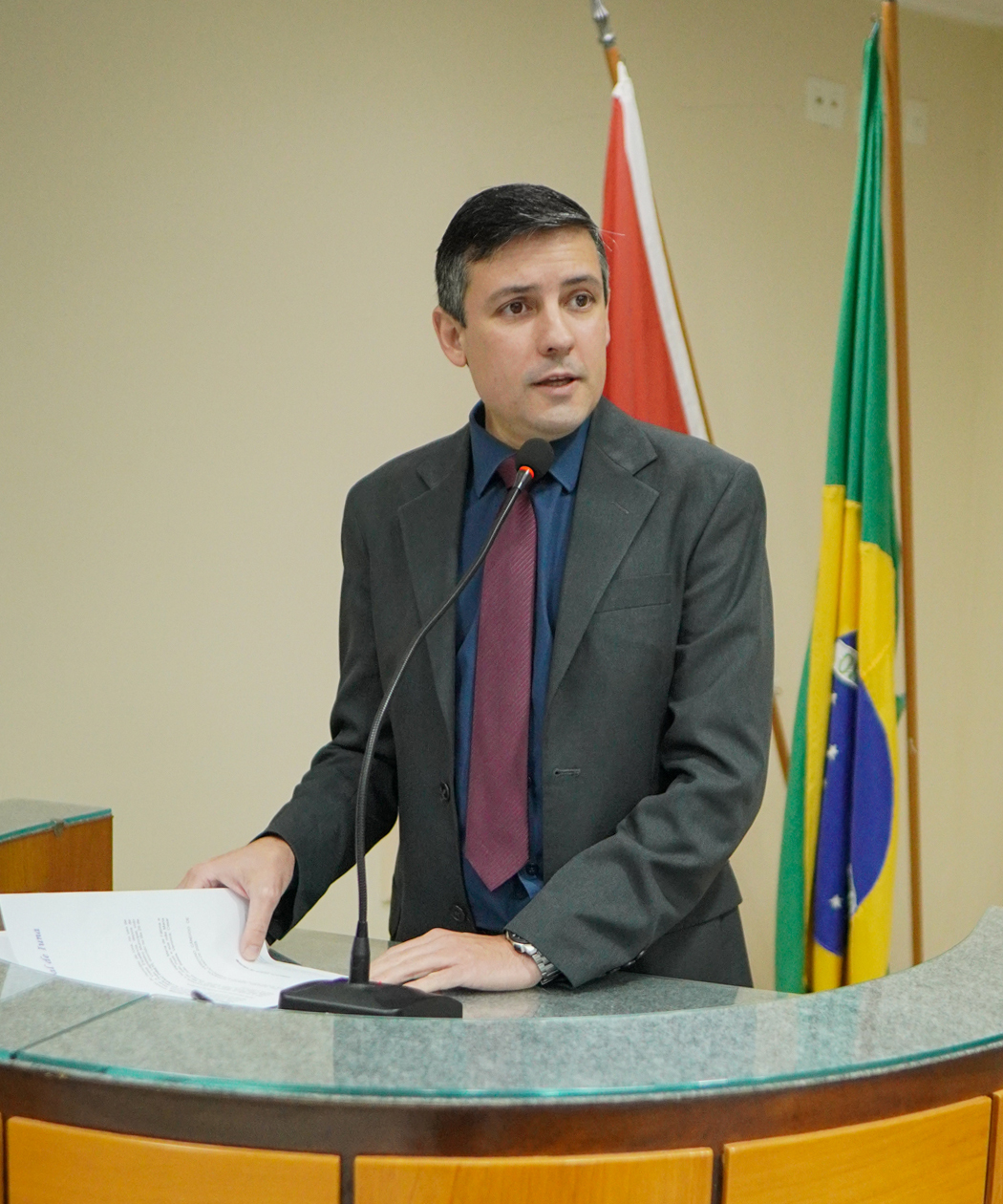 Foto: Reprodução/Câmara de Iúna - ES