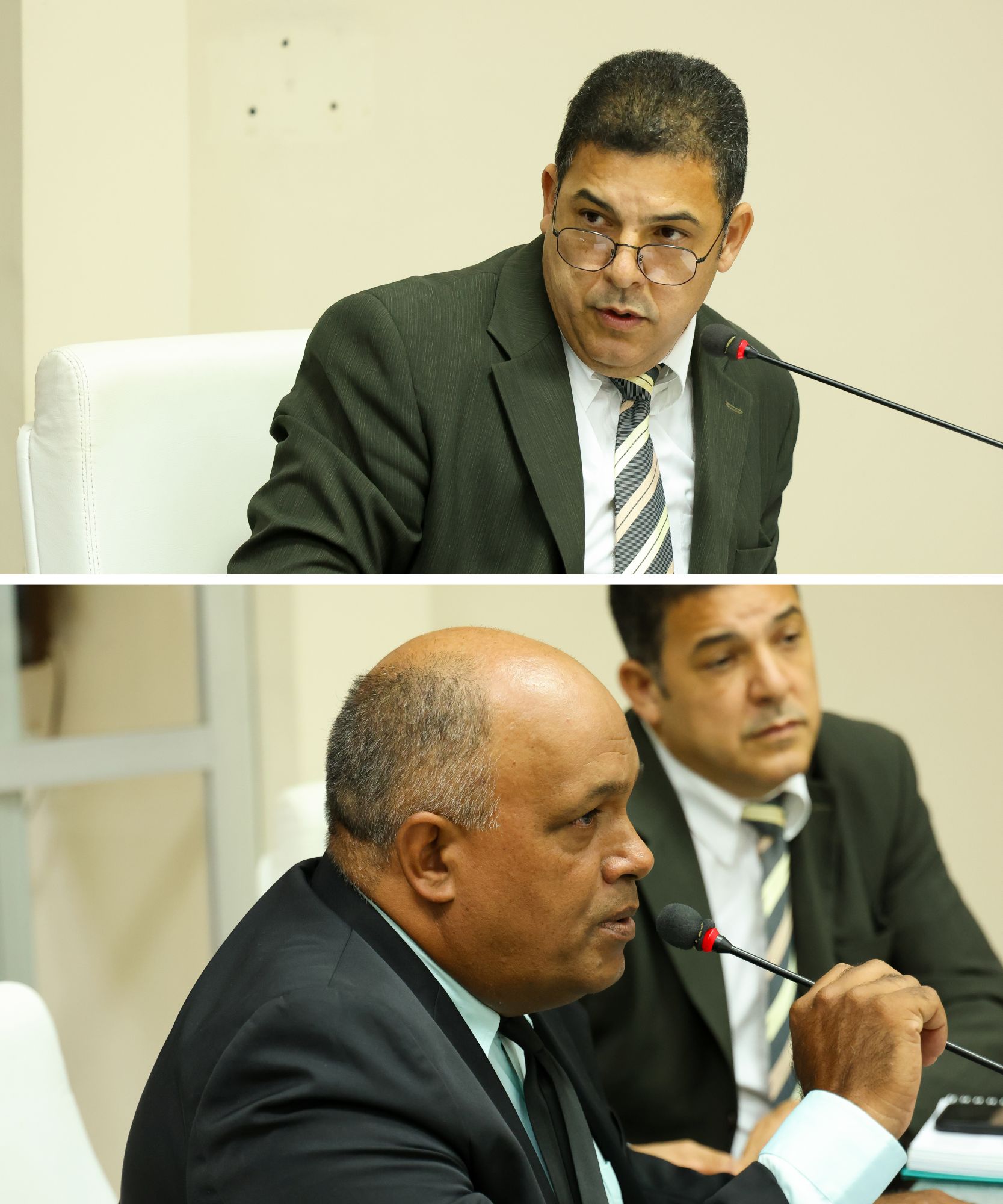 Foto: Reprodução/Câmara de Iúna - ES