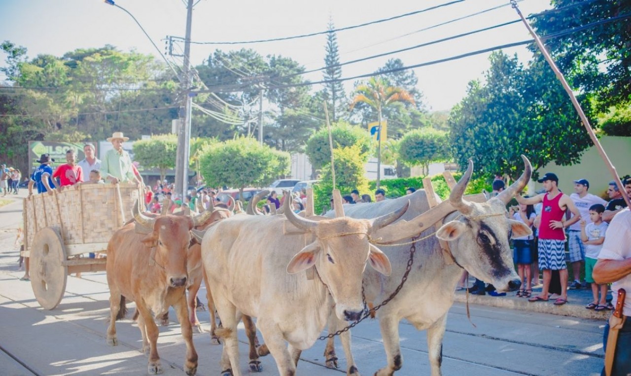 7ª Festa do Carro de Boi de Iúna acontece em junho