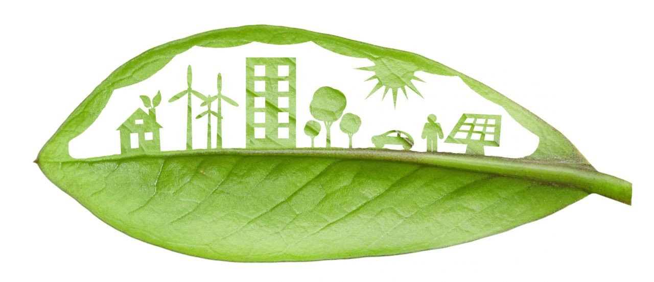 Licenciamento ambiental: município emitirá o documento