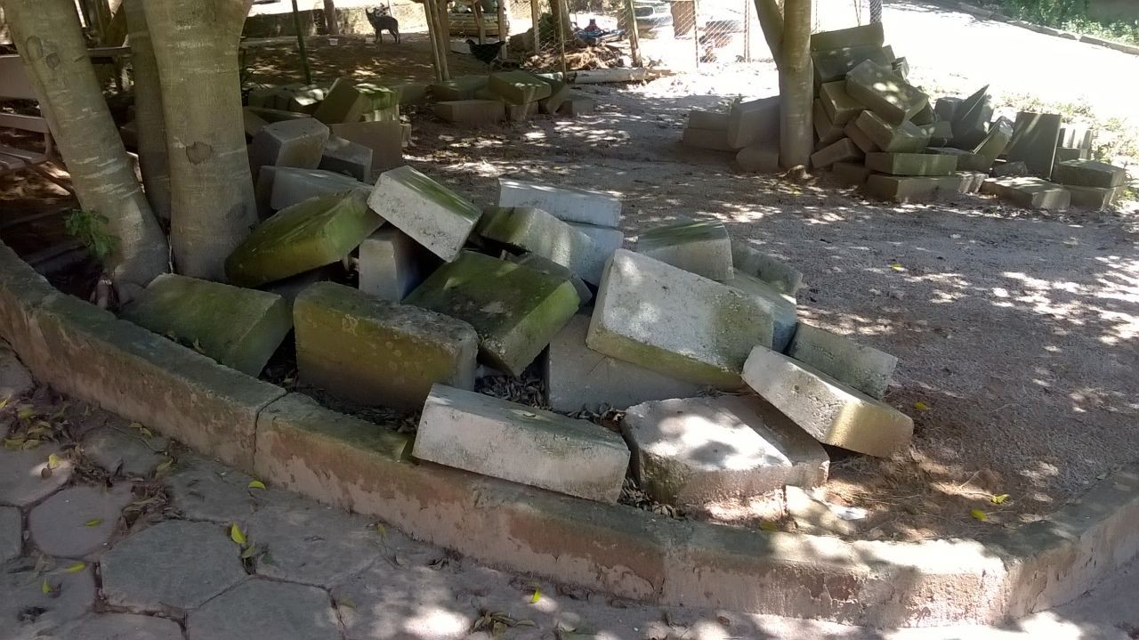 Materiais e veículos públicos abandonados geram debates na Câmara
