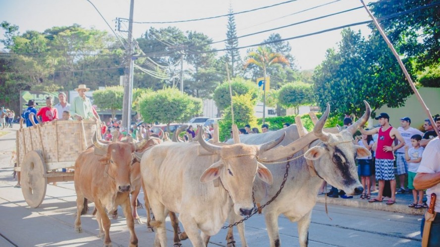 Festa do Carro de Boi em Iúna