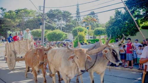 7ª Festa do Carro de Boi de Iúna acontece em junho 7ª Festa do Carro de Boi de Iúna acontece em junho