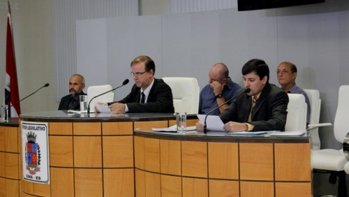 Câmara define composição das Comissões Permanentes Câmara define composição das Comissões Permanentes