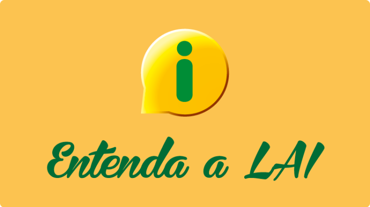 Entenda a LAI Imagem entenda a LAI