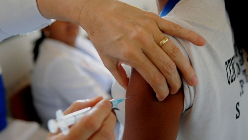 Espírito Santo passa a ser área com recomendação permanente de vacinação contra febre amarela Espírito Santo passa a ser área com recomendação permanente de vacinação contra febre amarela