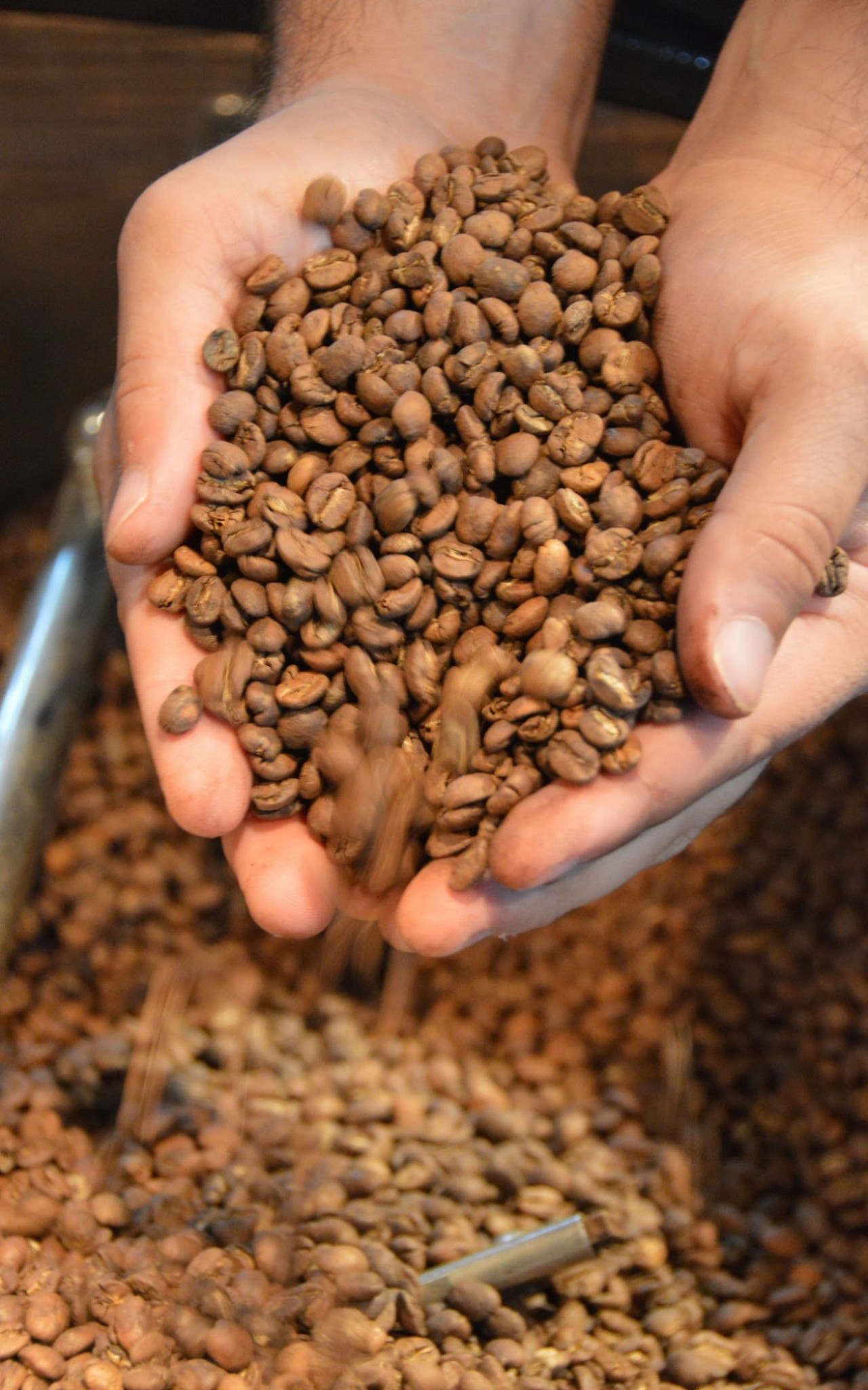 Iúna premiará produtores de café de qualidade Iúna premiará produtores de café de qualidade