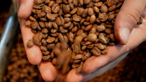 Iúna premiará produtores de café de qualidade Iúna premiará produtores de café de qualidade