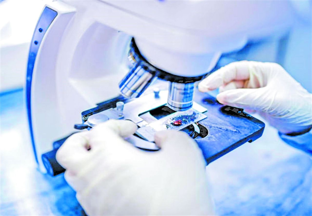 Saúde: serviços de exames laboratoriais suspensos Saúde: serviços de exames laboratoriais suspensos