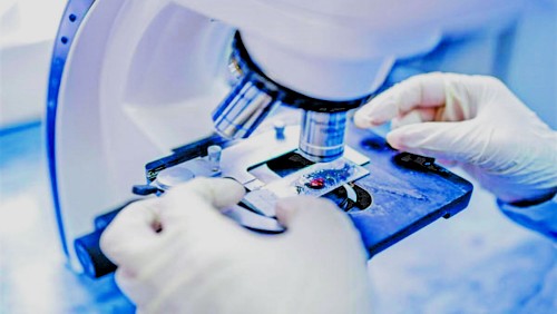 Saúde: serviços de exames laboratoriais suspensos